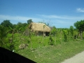 Rural Hut
